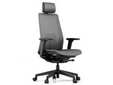 Gavisco Office Ergonomic Office Chairs