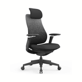 Archer Premium High Back Fabric Mesh Advance Ergonomic Office Chair