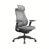Archer2 Premium High Back Mesh Advance Ergonomic Office Chair
