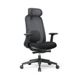 Crescent 高背進階人體工學辦公室電腦椅