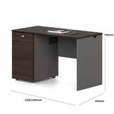 Dawn2-A 木質辦公桌連儲物櫃