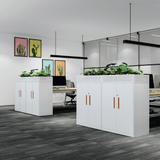 DTG-WDC 辦公室鋼製雙掩門儲物文件櫃