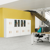 DTG-WDC 辦公室鋼製雙掩門儲物文件櫃