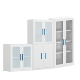 DTG-WDG 辦公室鋼製雙玻璃掩門儲物文件櫃