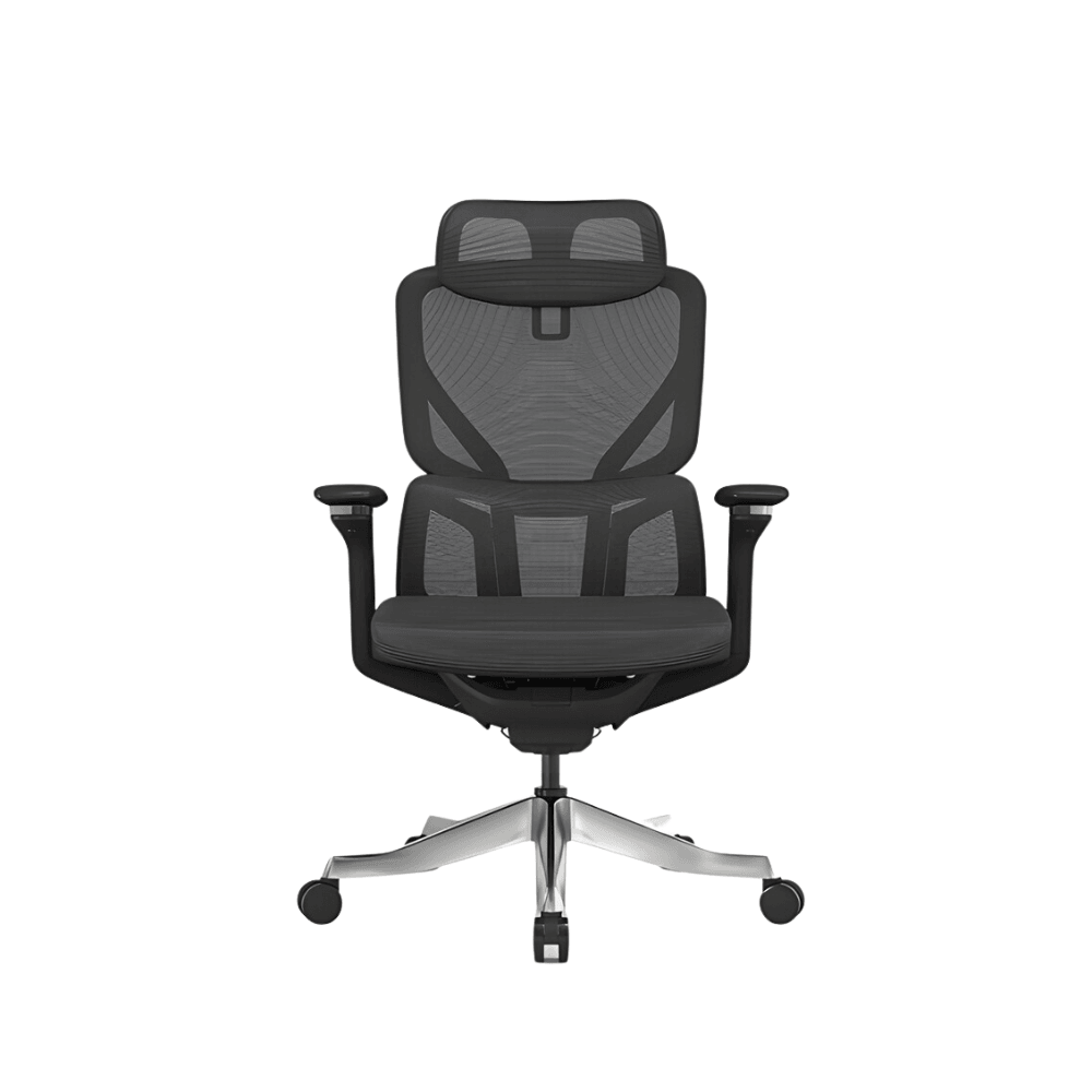 EST High Back Full Mesh Ergonomic Office Chair - Gavisco Office Furniture