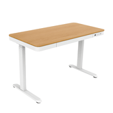 Flexispot E9W Electric Standing Desk with Drawer - Gavisco Office Furniture
