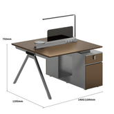 illusion-A Modern Advance Office Workstation with Storage Cabinet
