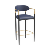 Modrest Buchtel 經典時尚皮革吧檯椅