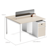 Pale-A Modern Office Workstation with Storage Cabinet
