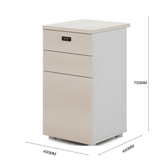 Pascal-D 3-Drawer Wooden Fixed Pedestal Cabinet with Combination Lock - Gavisco Office Furniture
