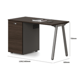 Pioneer2-B Metal Frame Office Desk Workstation with Storage Cabinet