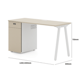 Pioneer2-B Metal Frame Office Desk Workstation with Storage Cabinet