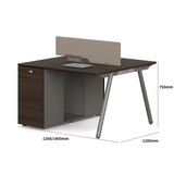 Pioneer2-B Metal Frame Office Desk Workstation with Storage Cabinet