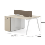 Pioneer2-B Metal Frame Office Desk Workstation with Storage Cabinet