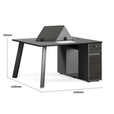 Summit Modern Office Desk with Storage Cabinet