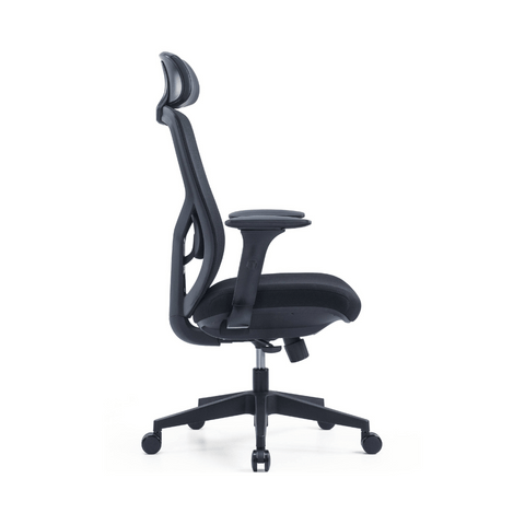 YNG High Back Ergonomic Office Chair