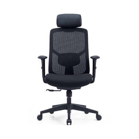 YNG High Back Ergonomic Office Chair