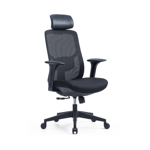 YNG High Back Ergonomic Office Chair