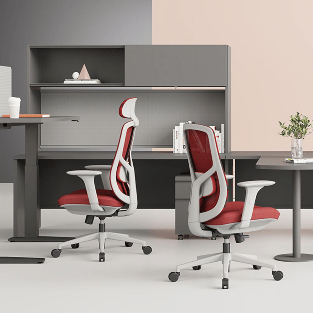YNG High Back Ergonomic Office Chair