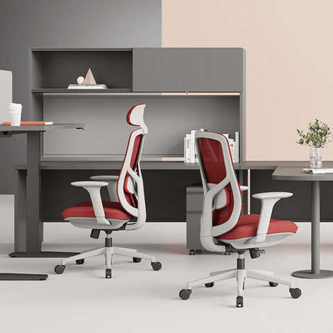 YNG High Back Ergonomic Office Chair