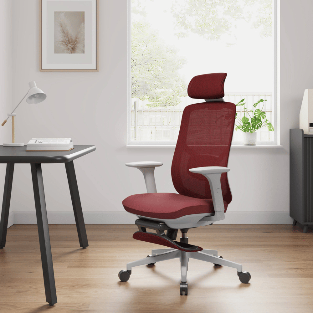 YNG High Back Ergonomic Office Chair