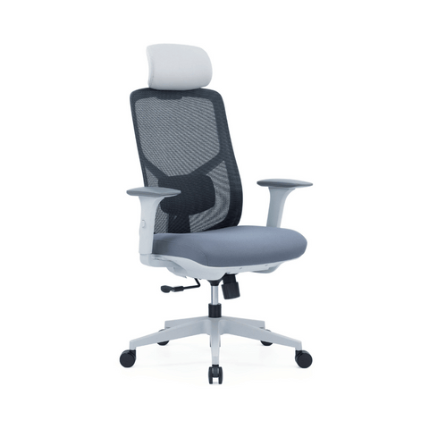 YNG High Back Ergonomic Office Chair