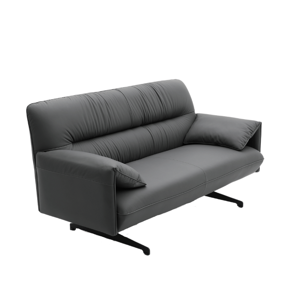 Antohn Two Seater Luxury Leather Lounge Sofa