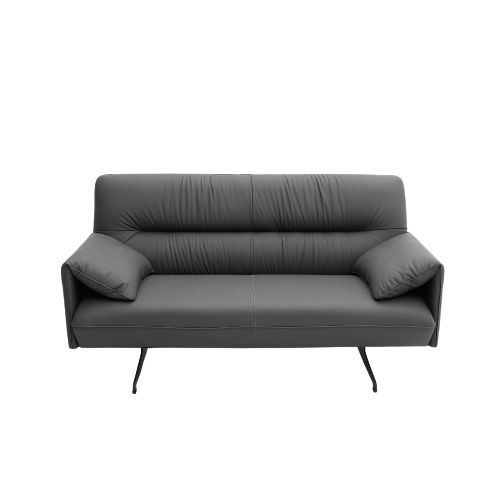 Antohn Two Seater Luxury Leather Lounge Sofa