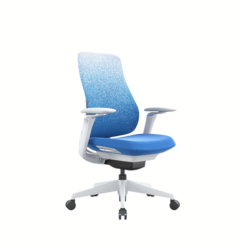 Archer-M Premium Mid Back Fabric Mesh Advance Ergonomic Office Chair