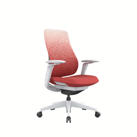 Archer-M Premium Mid Back Fabric Mesh Advance Ergonomic Office Chair