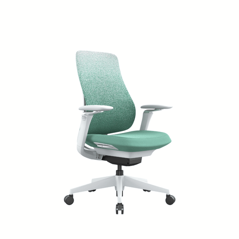 Archer-M Premium Mid Back Fabric Mesh Advance Ergonomic Office Chair