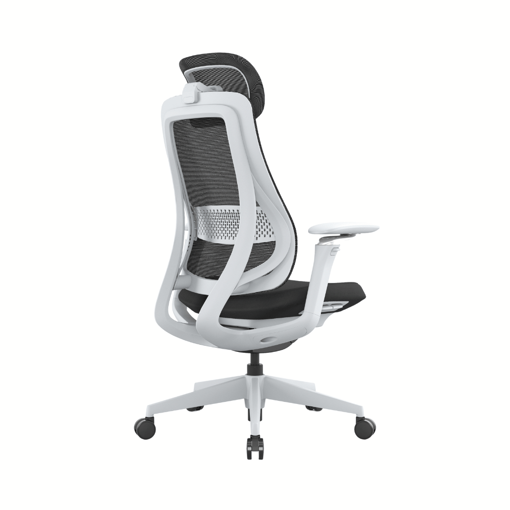 Archer2 Premium High Back Mesh Advance Ergonomic Office Chair
