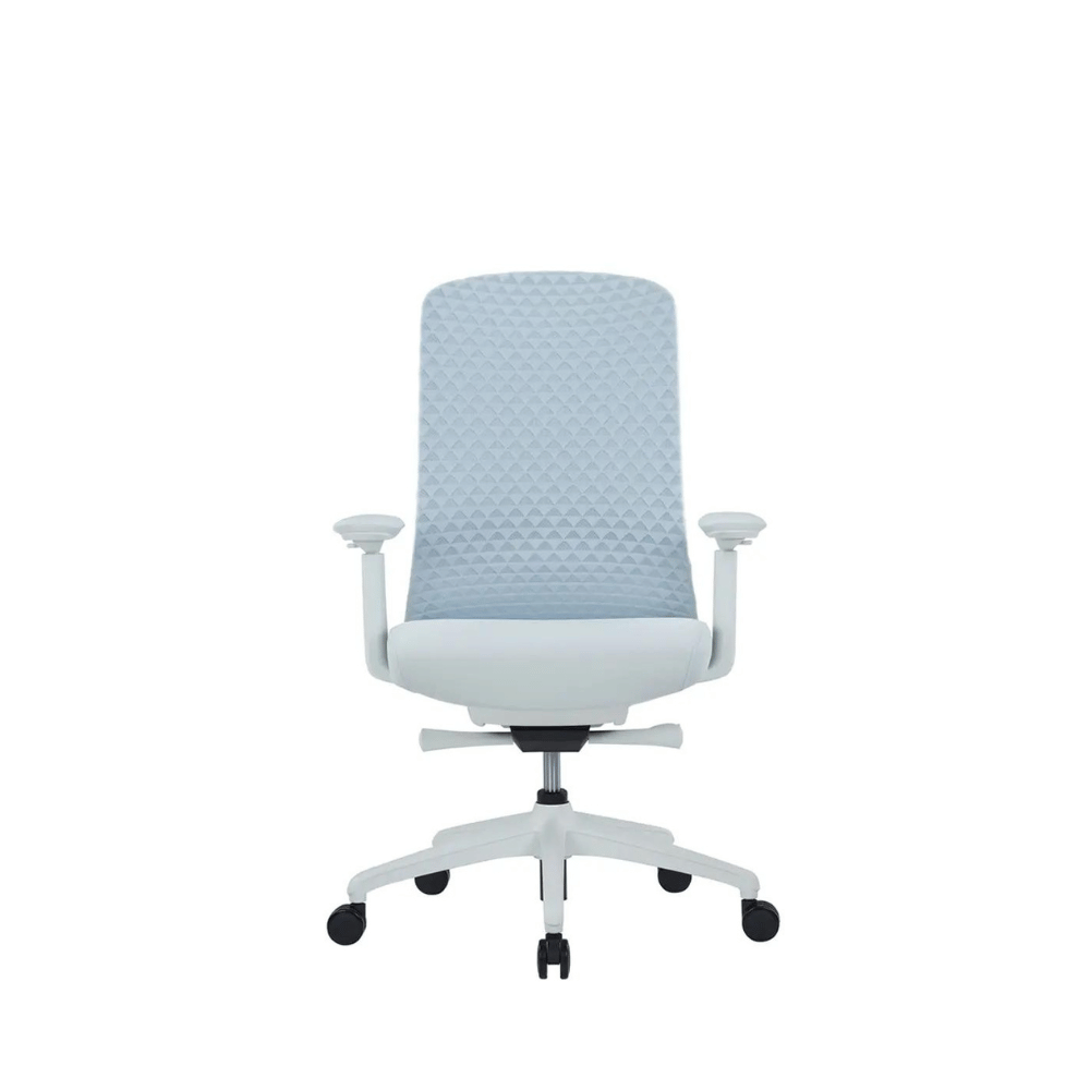 Ares-M Mid Back 3D Knitted Mesh Ergonomic Office Chair