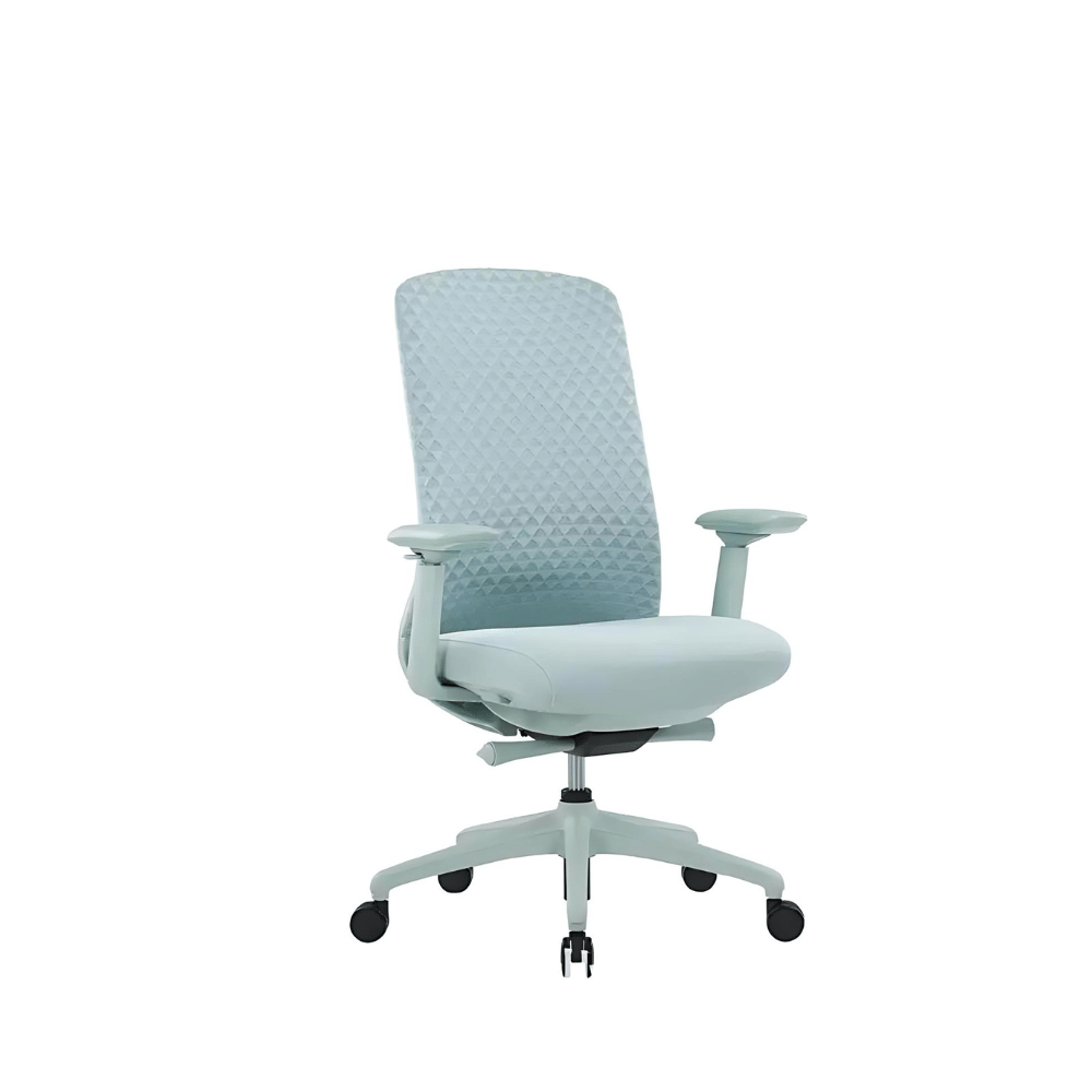 Ares-M Mid Back 3D Knitted Mesh Ergonomic Office Chair