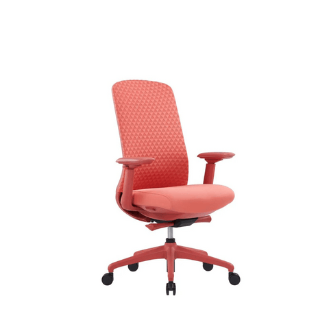 Ares-M Mid Back 3D Knitted Mesh Ergonomic Office Chair