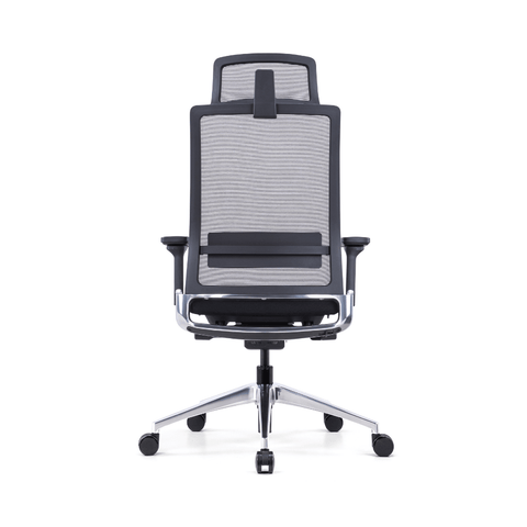 Basto High Back Dynamic Ergonomic Office Chair