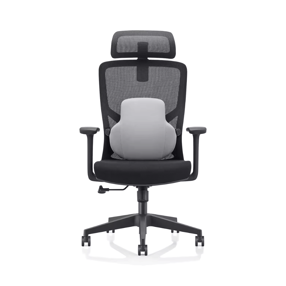 Beta High Back Ergonomic Office Chair with Memory Foam Cushion - Gavisco Office Furniture