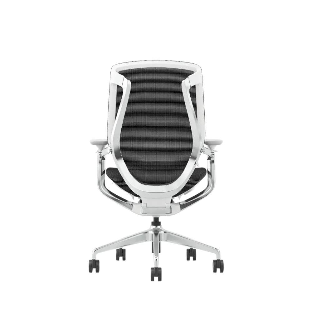 Birch-M Premium Mid Back Full Mesh Advance Ergonomic Office Chair