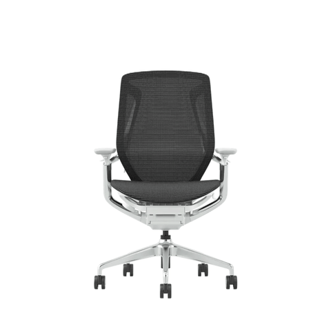 Birch-M Premium Mid Back Full Mesh Advance Ergonomic Office Chair