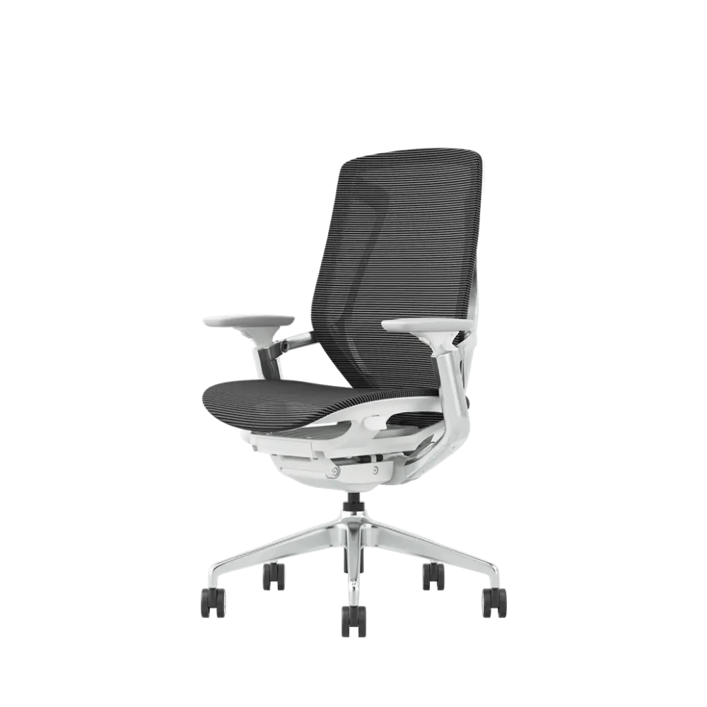 Birch-M Premium Mid Back Full Mesh Advance Ergonomic Office Chair