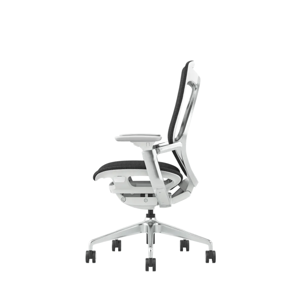 Birch-M Premium Mid Back Full Mesh Advance Ergonomic Office Chair
