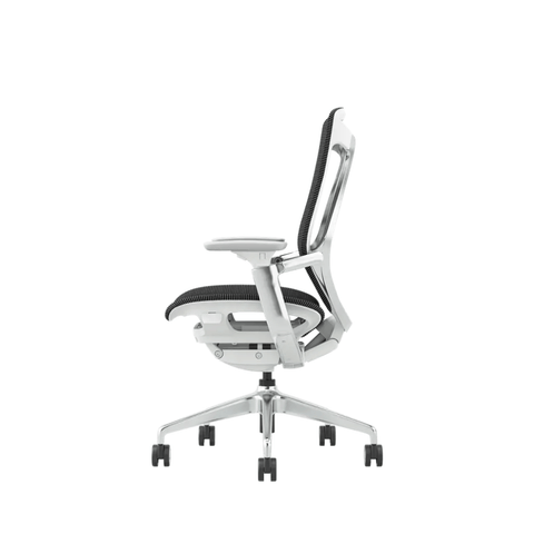 Birch-M Premium Mid Back Full Mesh Advance Ergonomic Office Chair