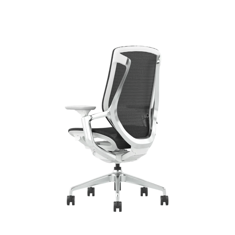 Birch-M Premium Mid Back Full Mesh Advance Ergonomic Office Chair