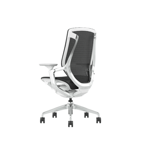 Birch-M Premium Mid Back Full Mesh Advance Ergonomic Office Chair
