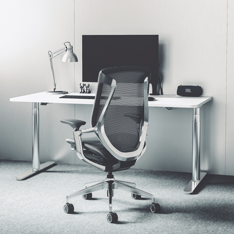 Birch-M Premium Mid Back Full Mesh Advance Ergonomic Office Chair