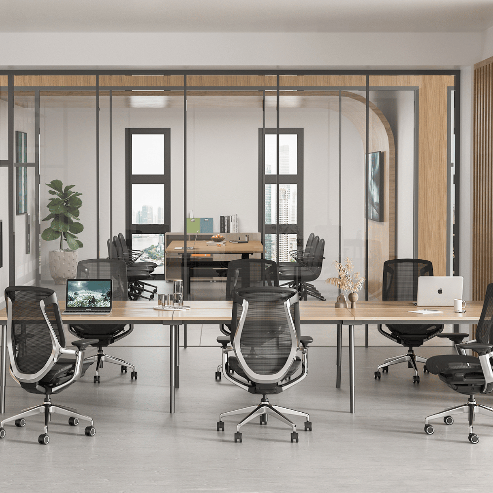 Birch-M Premium Mid Back Full Mesh Advance Ergonomic Office Chair