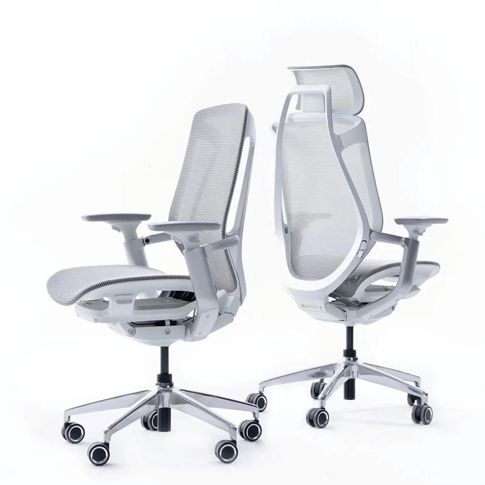 Birch-M Premium Mid Back Full Mesh Advance Ergonomic Office Chair