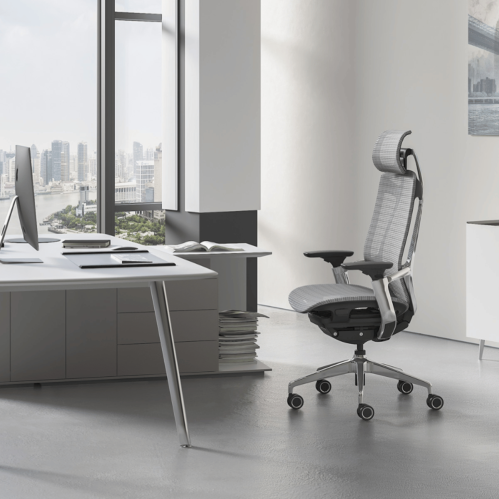 Birch-M Premium Mid Back Full Mesh Advance Ergonomic Office Chair