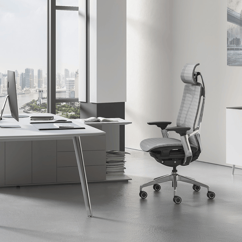 Birch-M Premium Mid Back Full Mesh Advance Ergonomic Office Chair