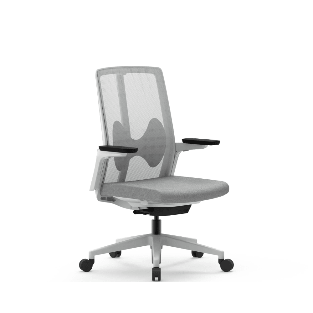 Butterfly-M Mid Back Lumbar Support Ergonomic Office Chair - Gavisco Office Furniture